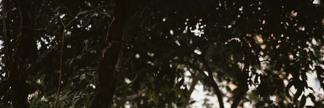 theyhatee_'s profile banner image