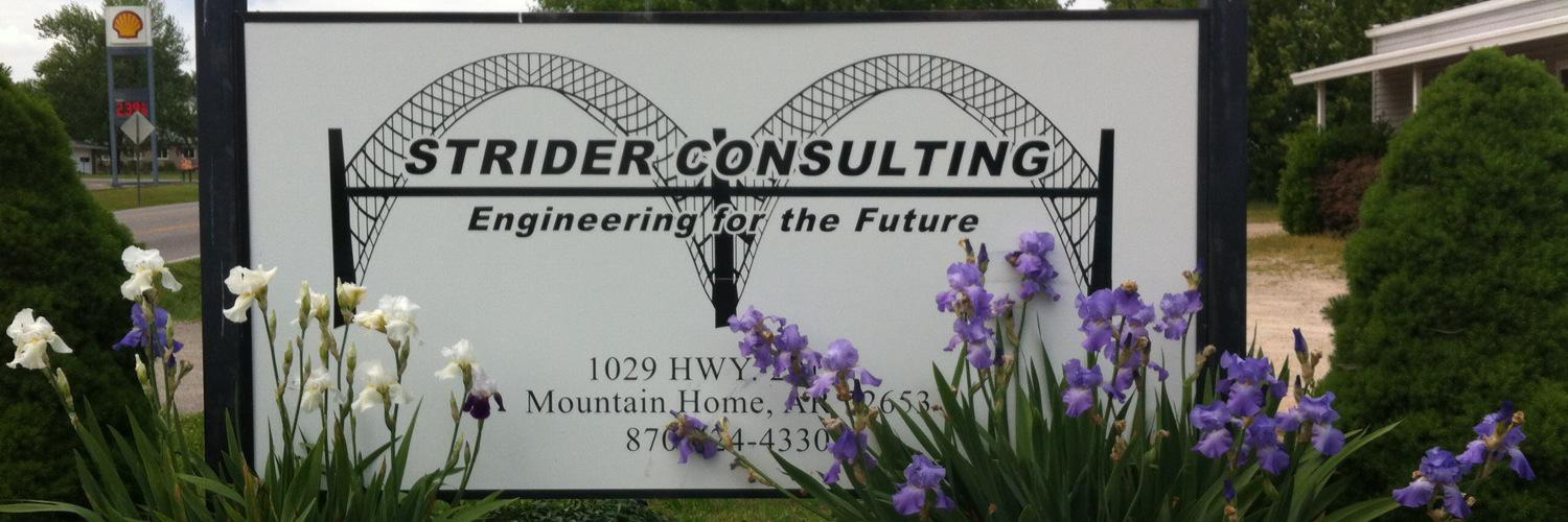 Strider Consulting banner