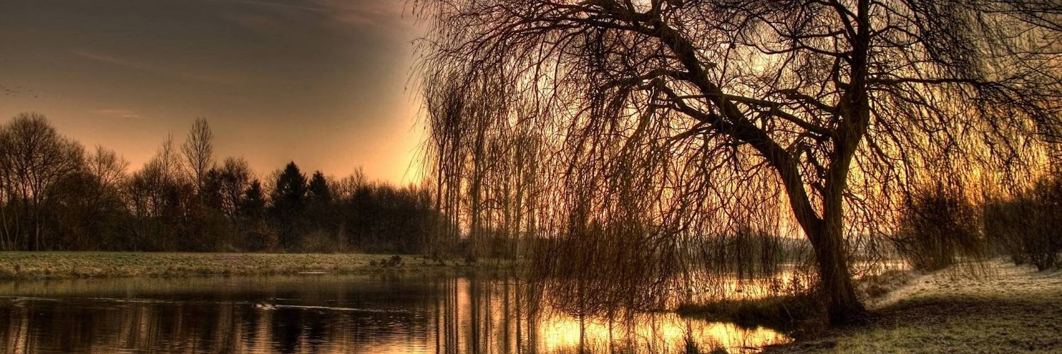Misunderstood3_'s profile banner image