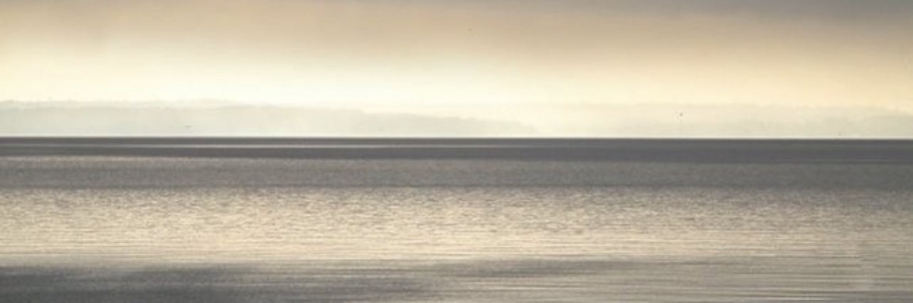 mzvo_'s profile banner image