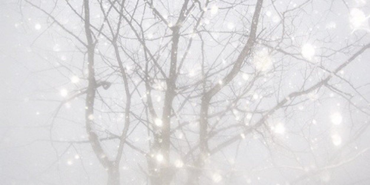 avonsbloom's profile banner image