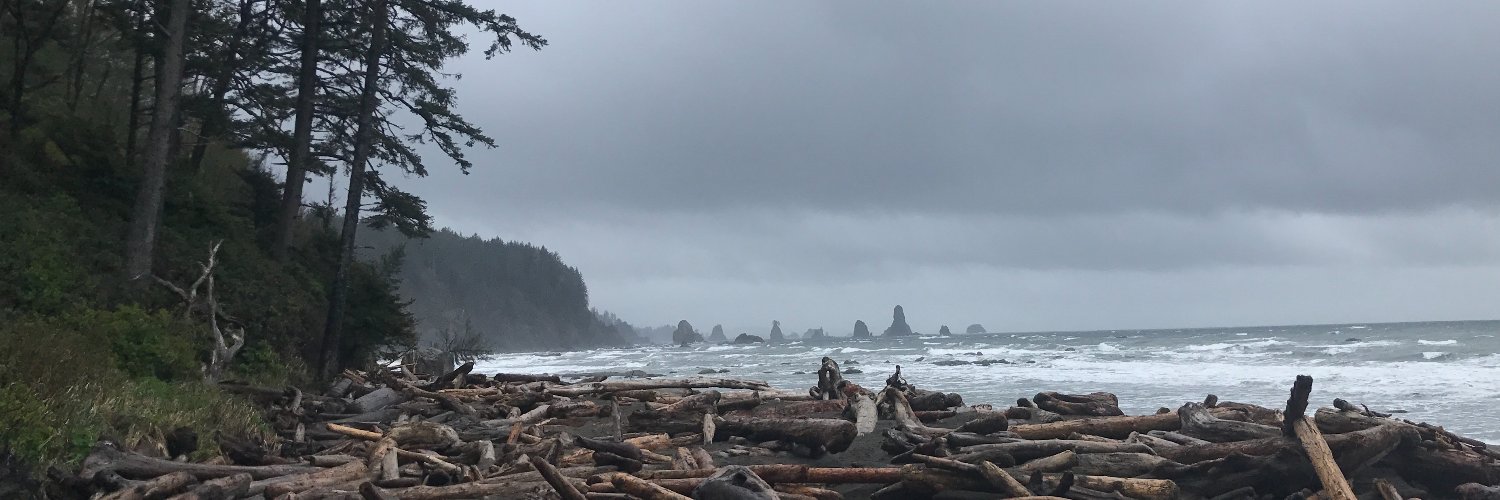 sri ponnada ⚡️ banner