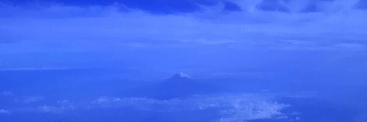 treeao's profile banner image
