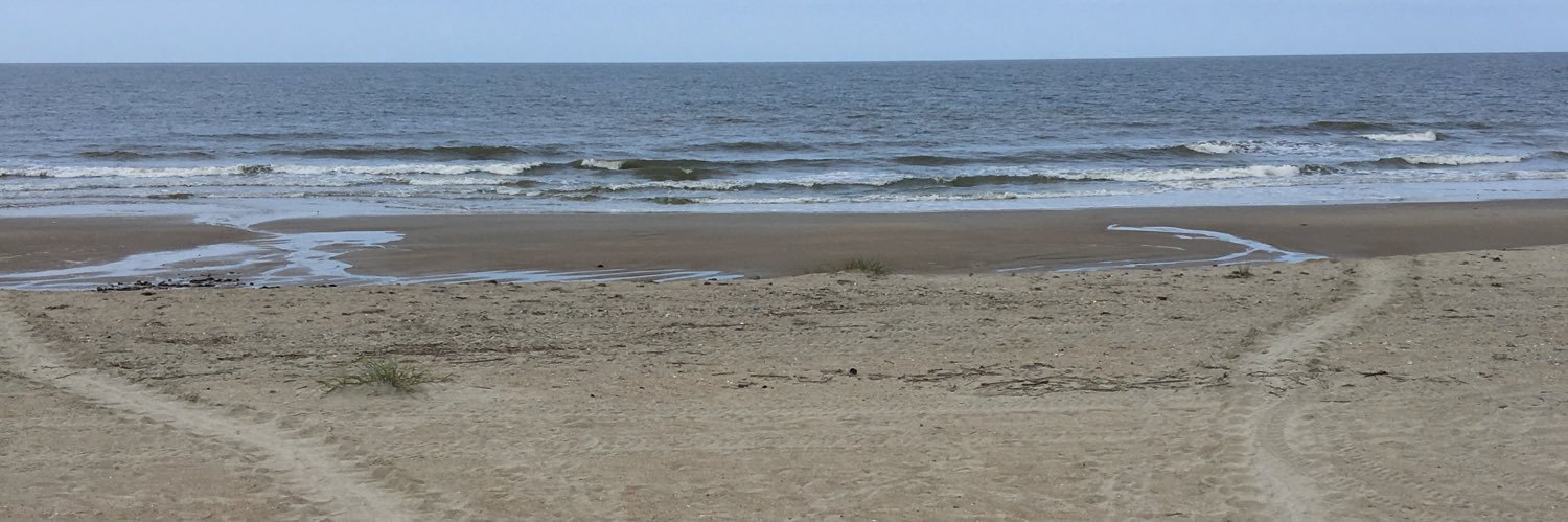 Beth Darrow, PhD banner