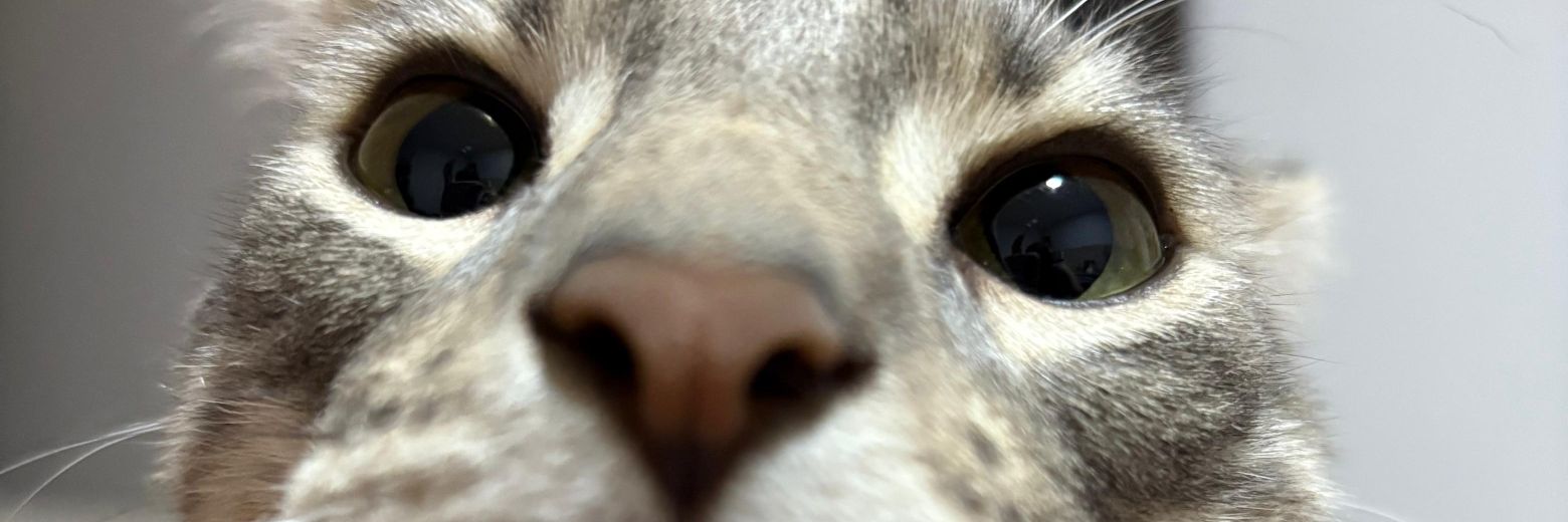 panch17o's profile banner image
