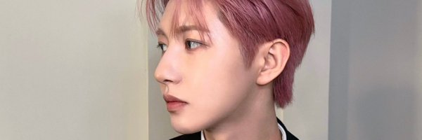 dongbeikitty Profile Banner