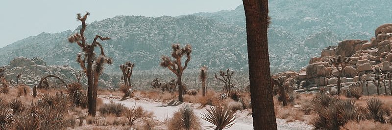 jamisonbolt's profile banner image