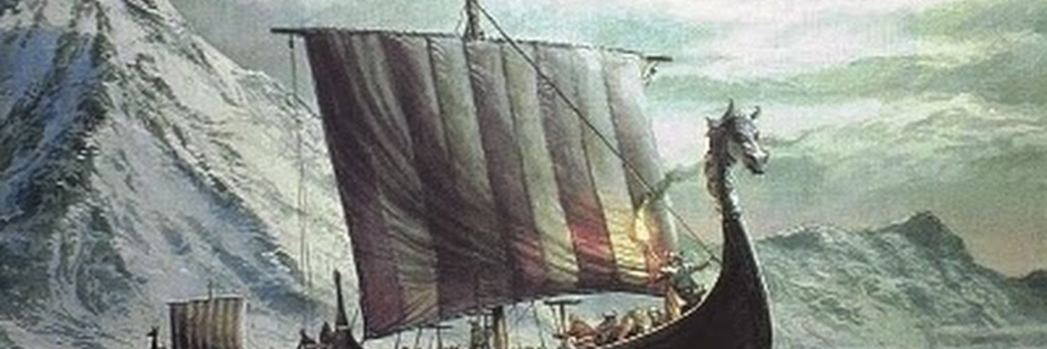 SkullSplitter's profile banner image
