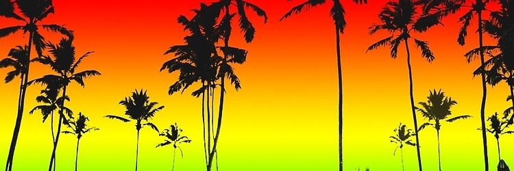 astroxmoi's profile banner image