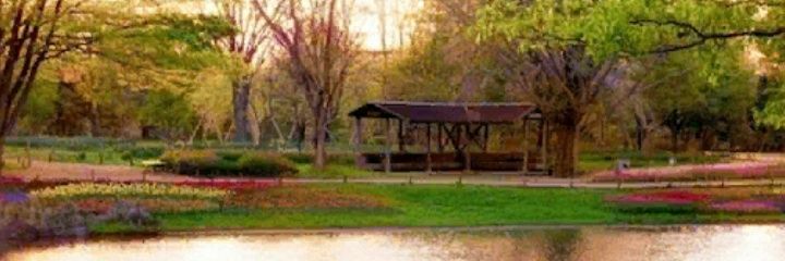 TbNia's profile banner image