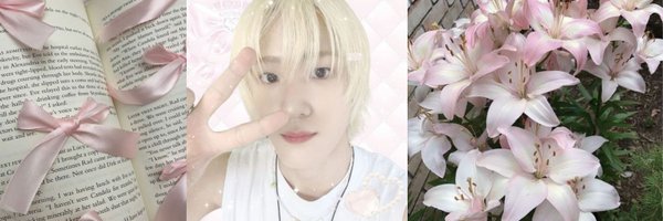 seobsouloml Profile Banner