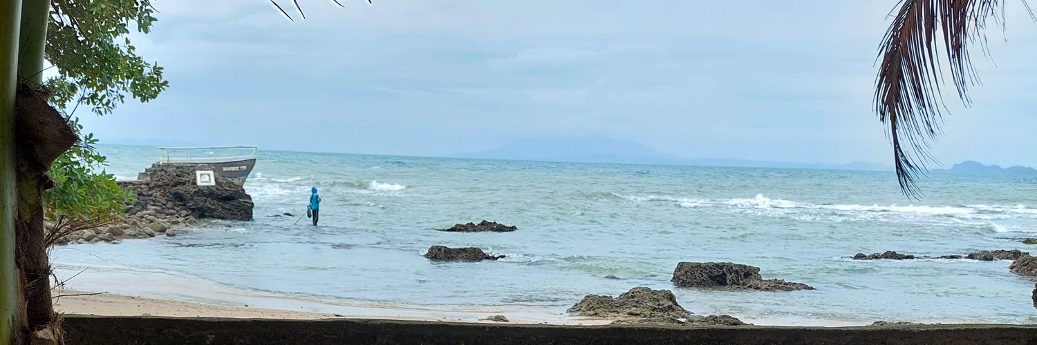 diannaozora's profile banner image
