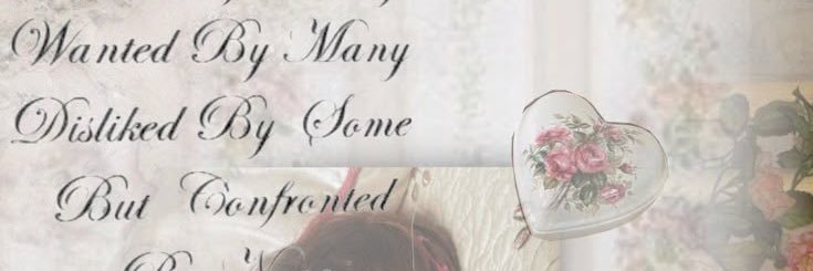 scara's #1 bully banner