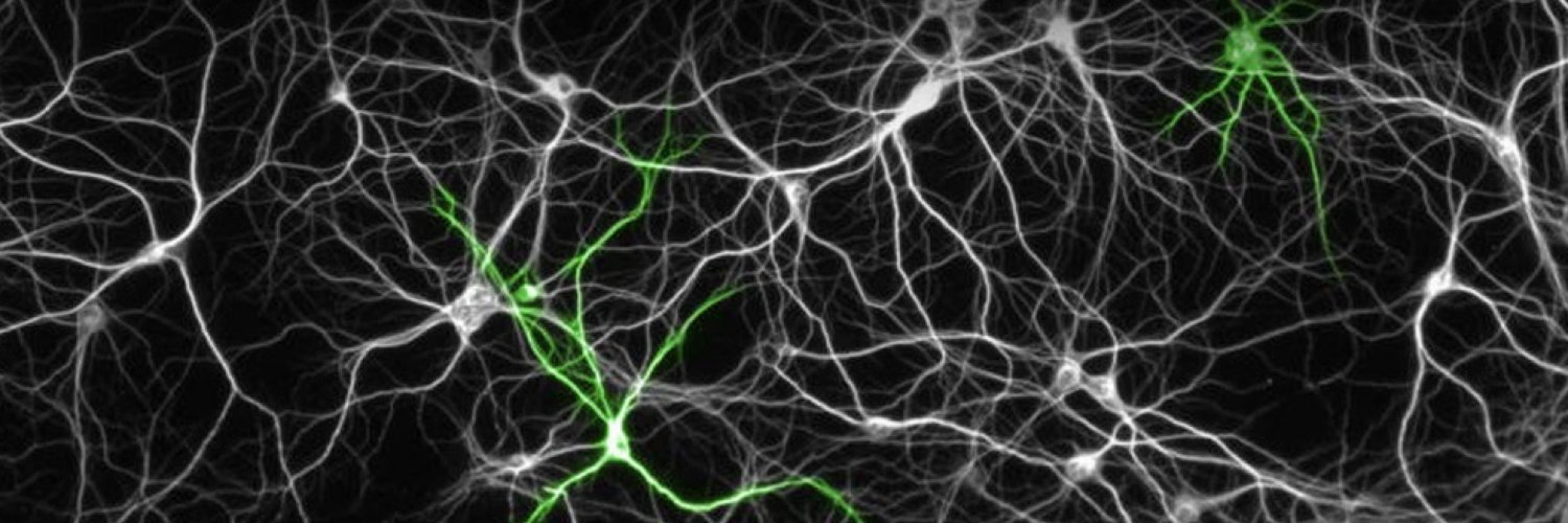 CircuitMaps's profile banner image