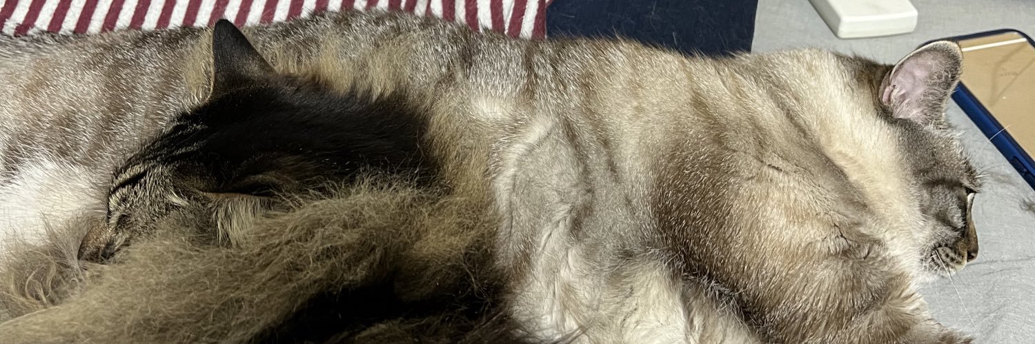 nekomet26's profile banner image
