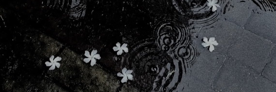 PIKA_C11's profile banner image