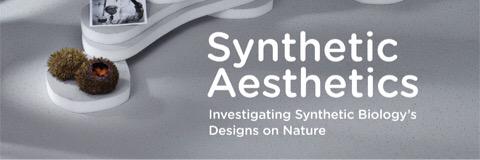 synthaes's profile banner image