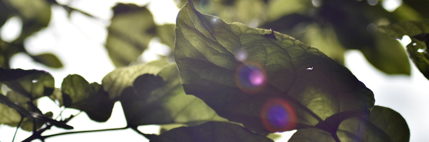 AidanBcya's profile banner image