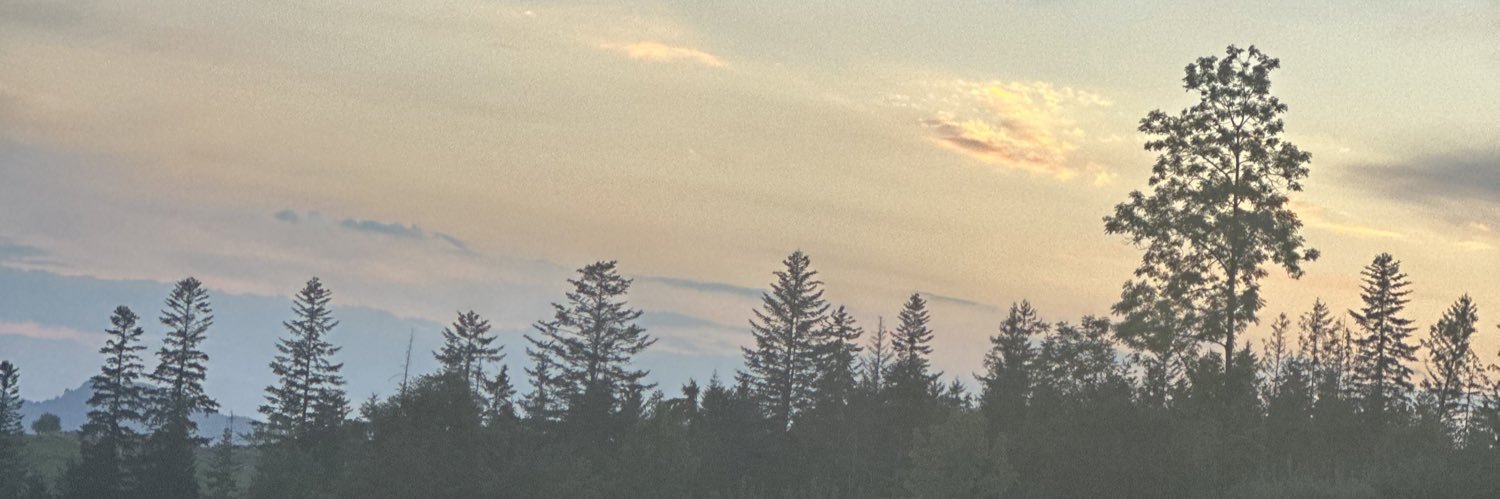 nalbdaya's profile banner image