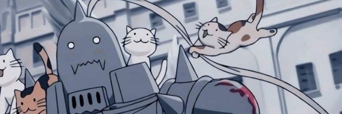 haiiromeows's profile banner image