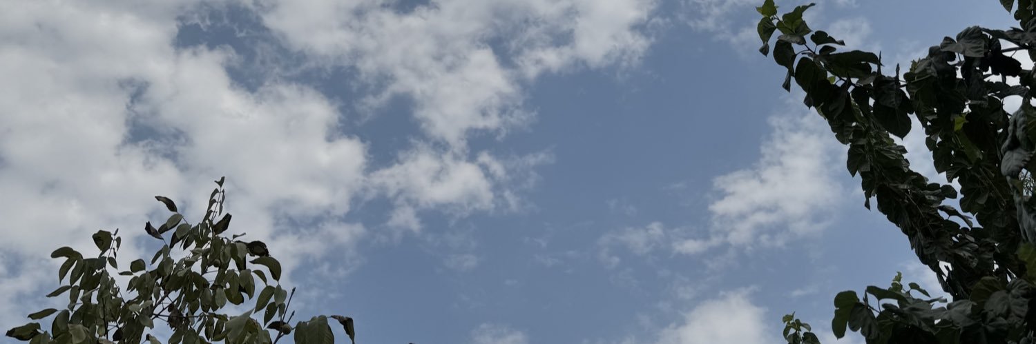 maryami banner