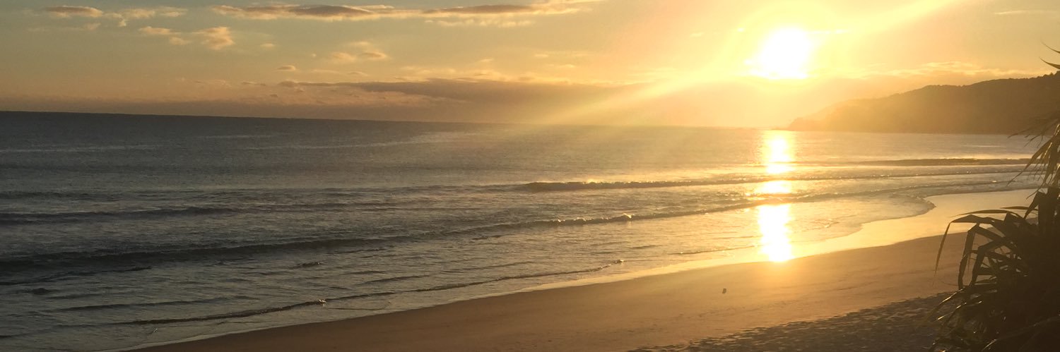 Peter Nicholls banner