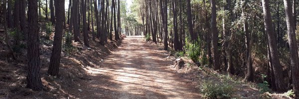 SeguimlaMeteo Profile Banner