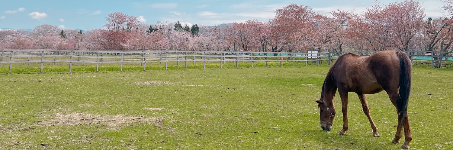 ごまねこ🥝 banner