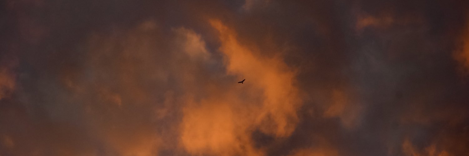 Antoine Fourré (🐘 vmst.io/@fouranto) banner