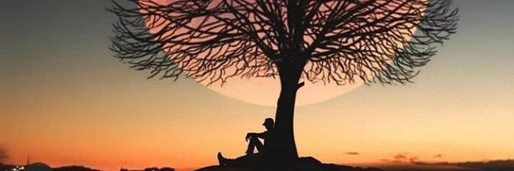 Miss.Tee 💖 banner