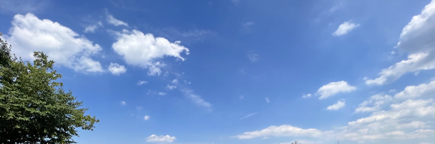 BrawneCoelho's profile banner image