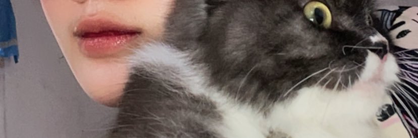 wndmeilany's profile banner image