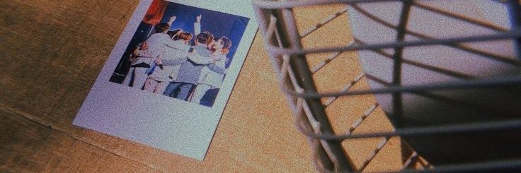 vivi 🐬 banner