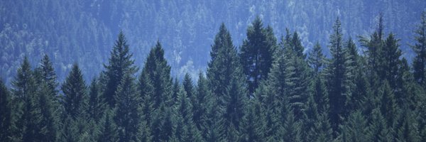 enjus Profile Banner