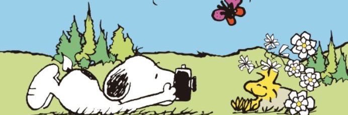 horchatify's profile banner image