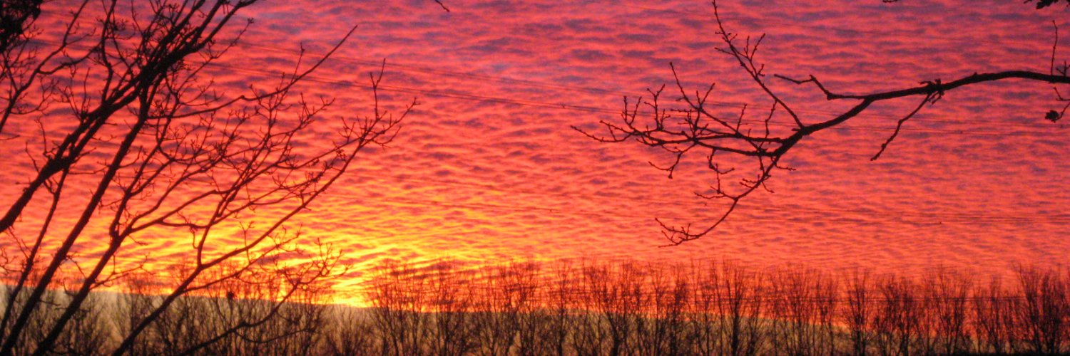 Anne_Powell_2501 banner