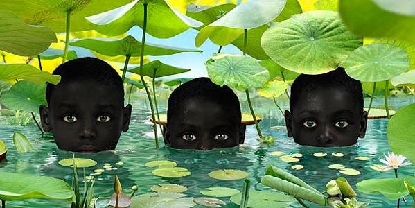 Kirindongo_'s profile banner image