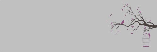 explicitpnd's profile banner image
