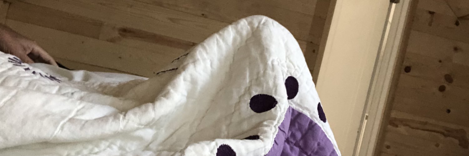 michael_sams's profile banner image
