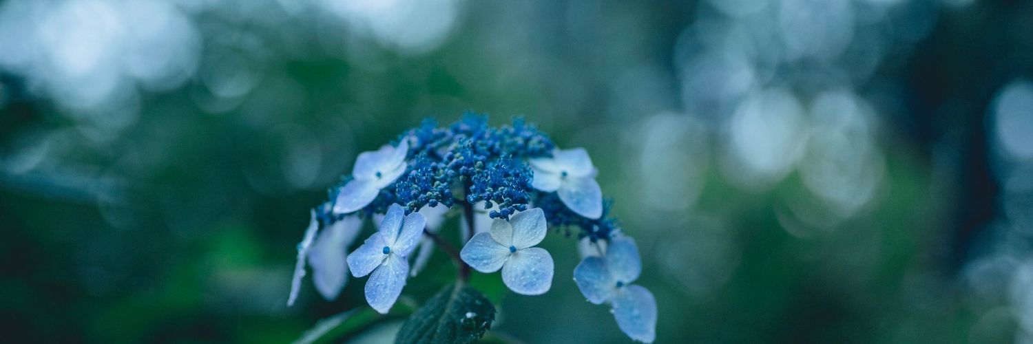 Shi_er12's profile banner image