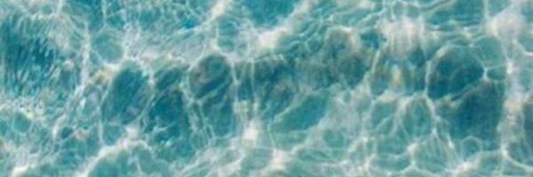 SheelieT Profile Banner