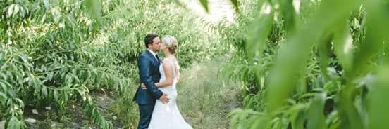 gus_fouche's profile banner image