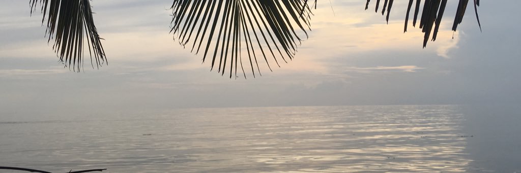Gelanik's profile banner image