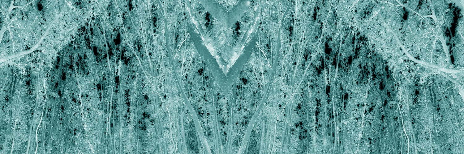 Francesco Marano banner