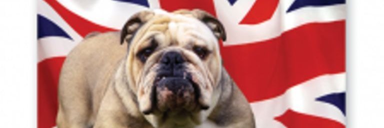 @Toontruth banner