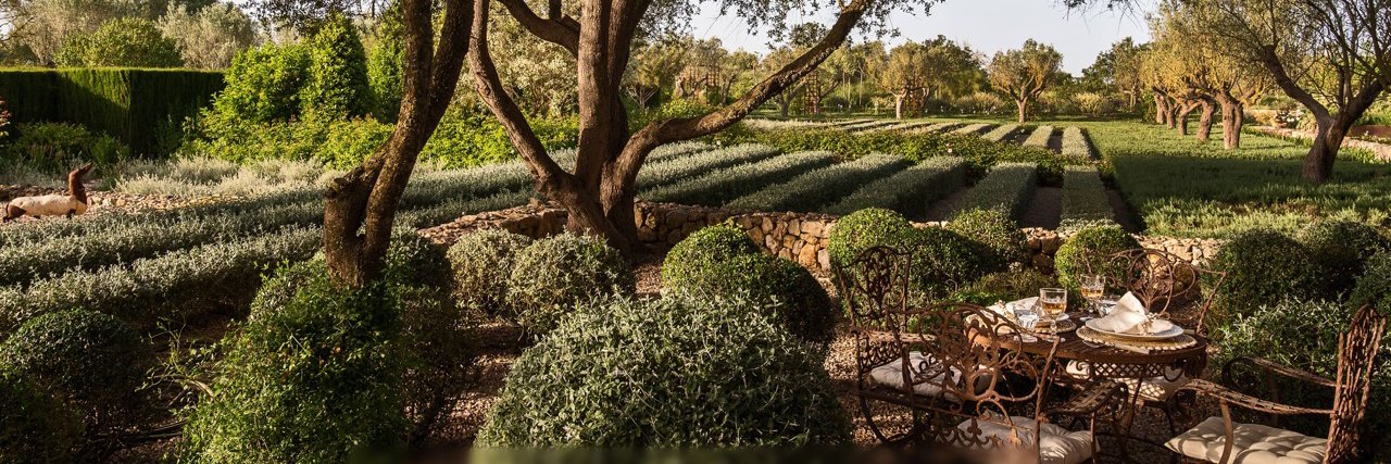Hélène Lindgens banner