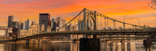 Charlie Stafford banner