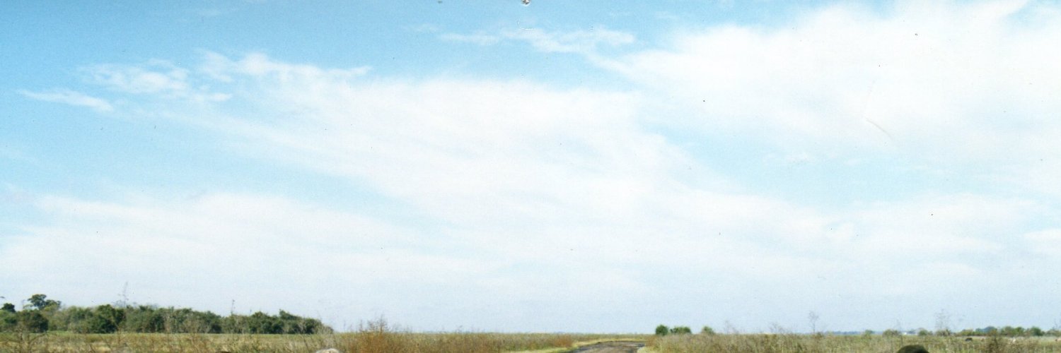 alargie's profile banner image