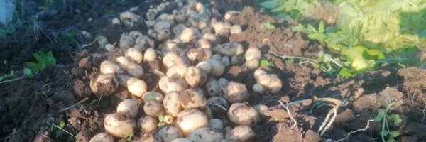 Jackscottkent Profile Banner