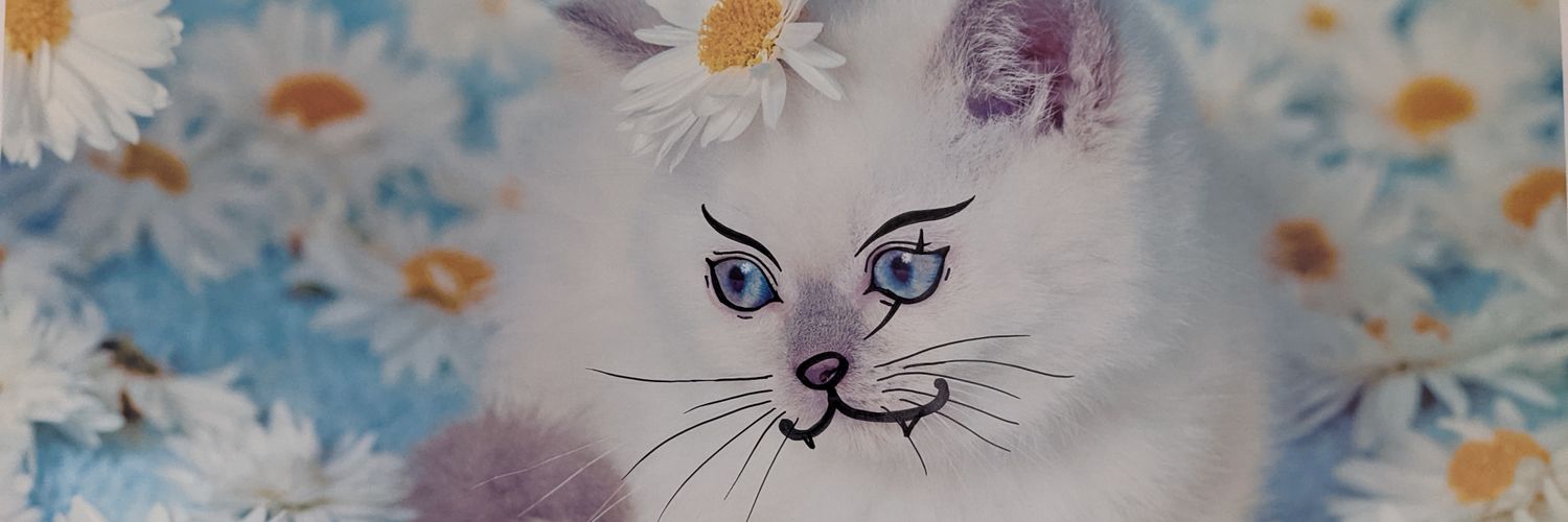 kazzz316's profile banner image